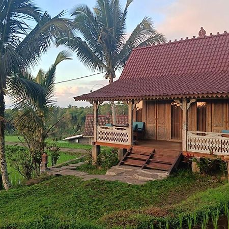 D'Ume Bendoel Homestay Джатілувіг Екстер'єр фото