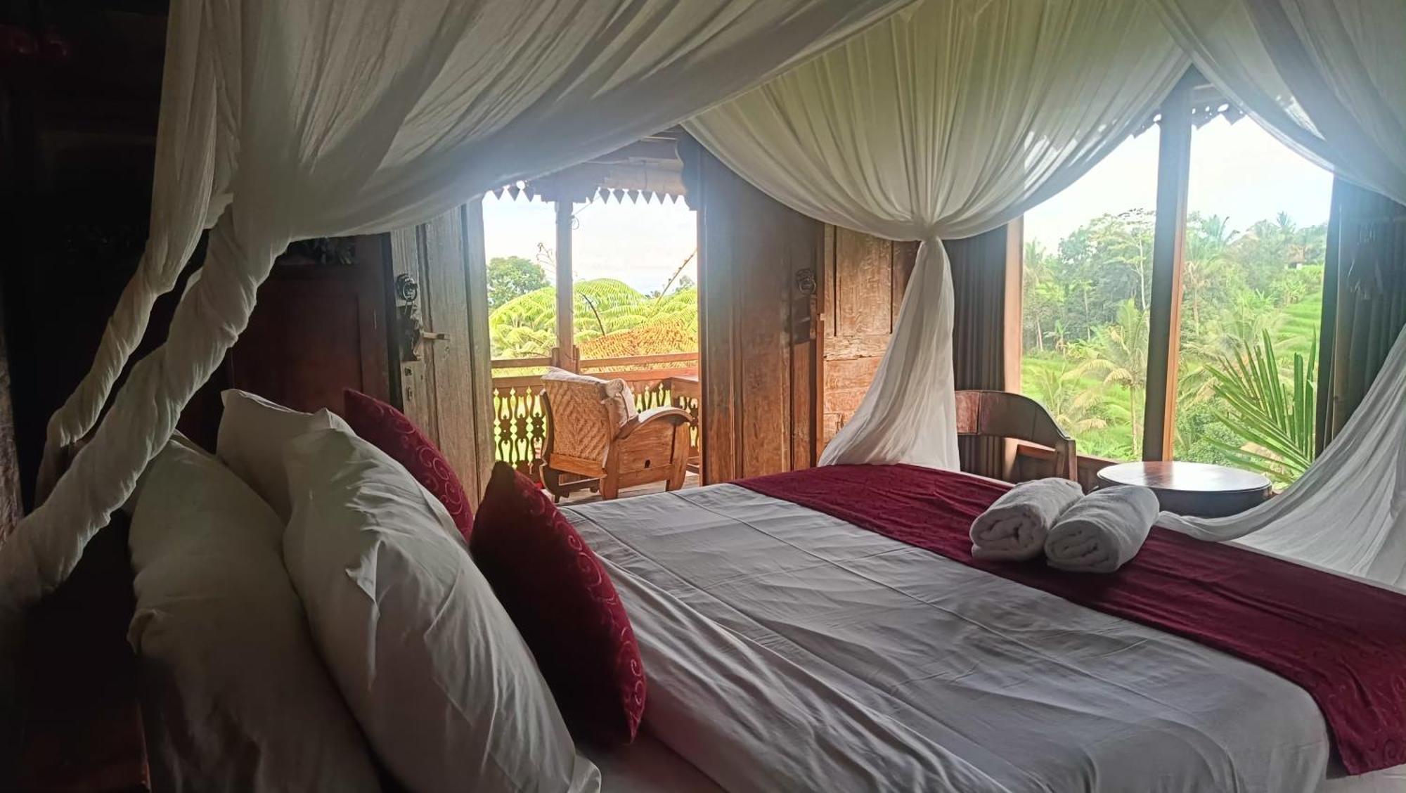 D'Ume Bendoel Homestay Джатілувіг Номер фото